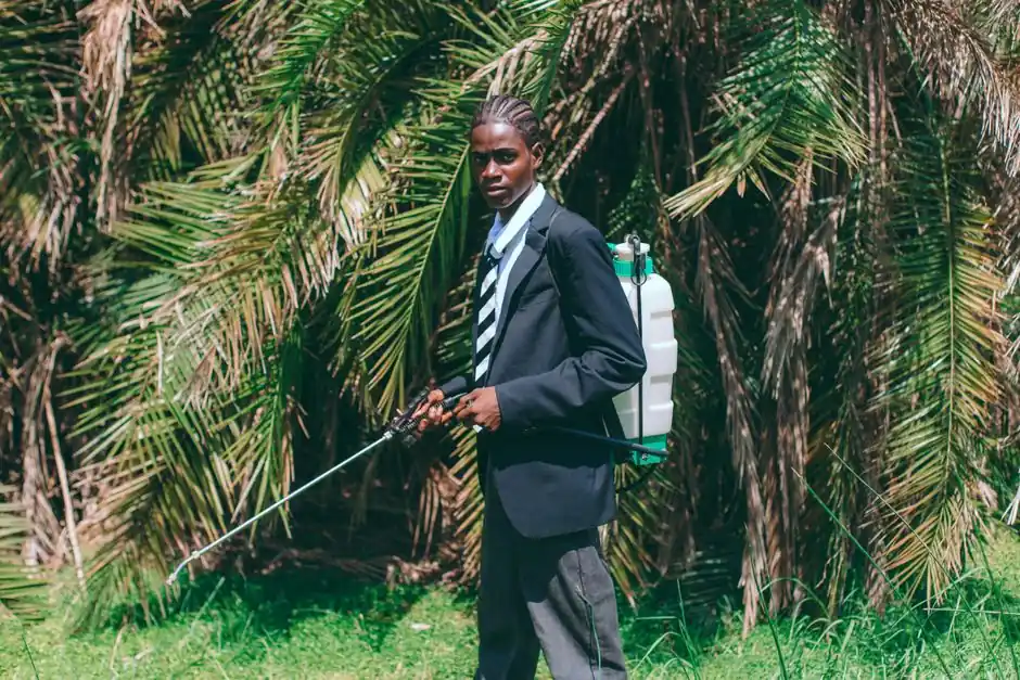 A young man in formal attire sprays pesticides in a palm grove in Accra, Ghana.