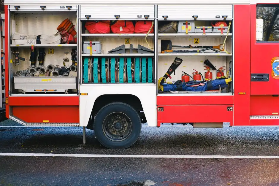 Benefits of Emergency Pest Control