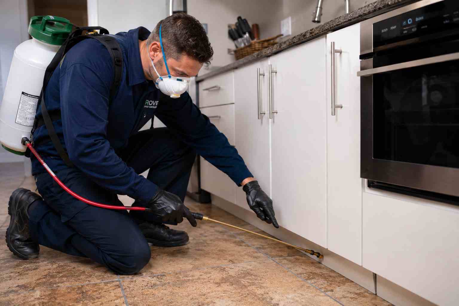 Pest Control in Ophir